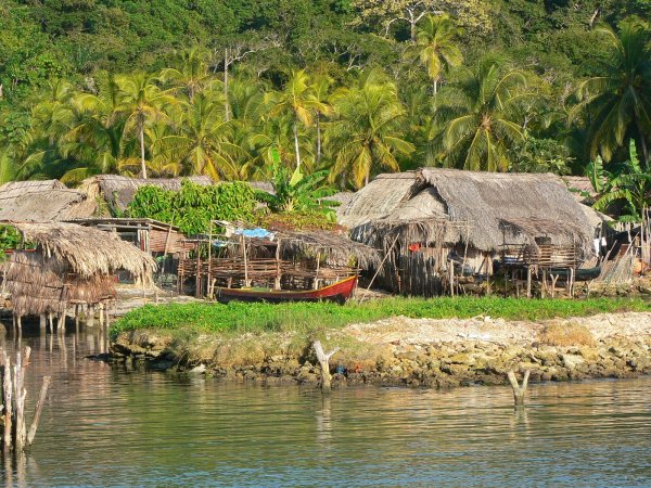 05- Cases dans les cocotiers 